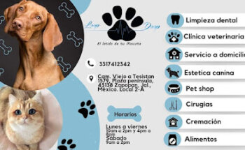 Loop Doop Veterinaria