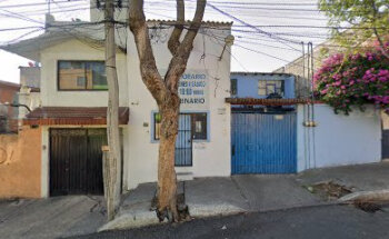 Veterinario calle 13 esq 21