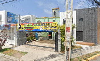 Clínica Veterinaria MVZ Sandra Monge