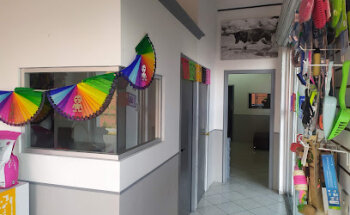 Animal Medicine Servicios Veterinarios