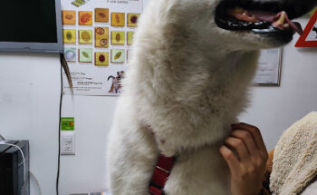 Hábitat veterinaria