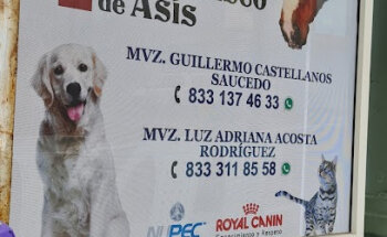 Veterinaria San Francisco De Asís