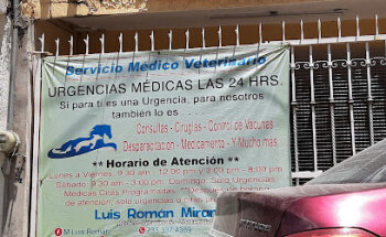 Servicio Médico Veterinario