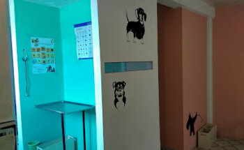 Clinica veterinaria Doc. Animal
