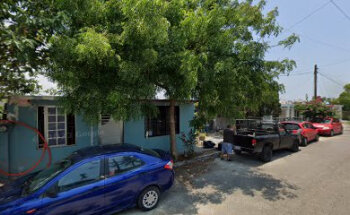 Veterinaria Gato Azul