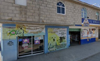 Veterinaria Animal's Moby Dick