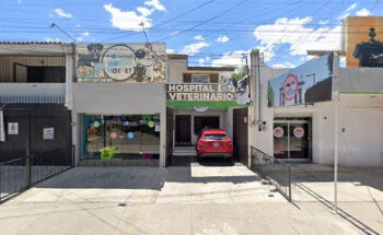 Clinica Veterinaria Pehe Pet