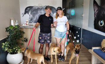 Wet Noses Vet Clinic