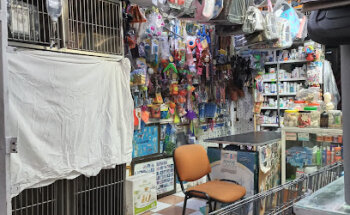 M.V.Z. Arturo Y Maricela