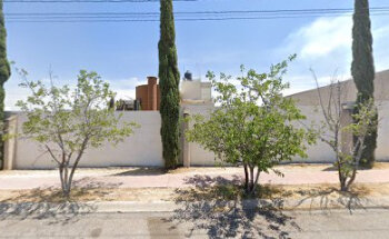 Servicio Medico Veterinario