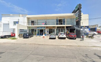 Pet Look Estética Canina