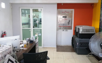 Perropolis Clinica Veterinaria