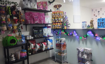 Pettilu Pet Salon & Health