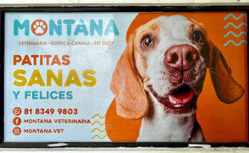 Montana Veterinaria