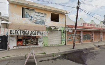 Servicio vetetinario especializado