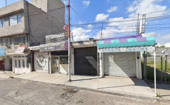 CONSULTORIO VETERINARIO ESPAÑA