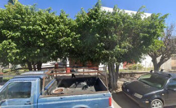 Veterinaria La Unión