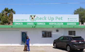 CHECK UP PET