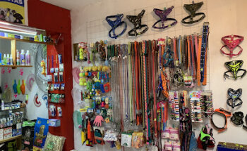 Accesorios Para Mascotas Mayoreo y Menudeo