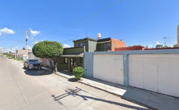 Urgencias 24/7 Allvet