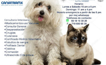 Veterinaria Caniatramx