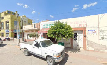 Veterinaria SAN MATEO