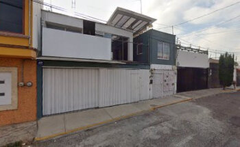 LuminaVet Consulta Veterinaria A Domicilio