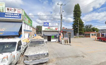 Servicios Veterinarios María Fernanda