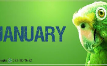 Veterinaria Versalles