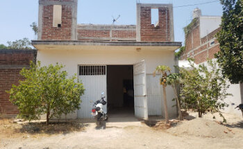 Servicios veterinarios