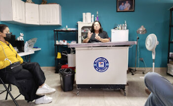 Stardogs perros & gatos