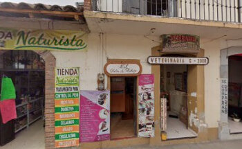 Veterinaria Ganadero 2000