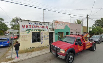 Clínica Veterinaria