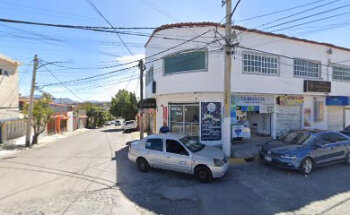 Estetica Canina Mr Dog