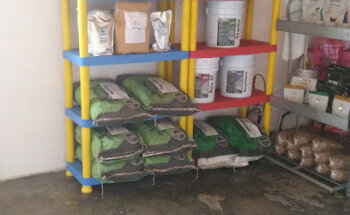 Exoticare Servicios Veterinarios