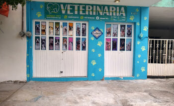 Clínica Veterinaria Drako Pet