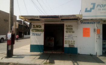 Clica veterinaria meraki