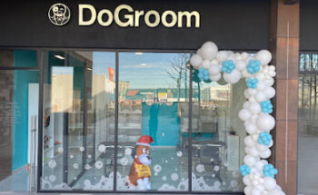 DoGroom spa para mascotas