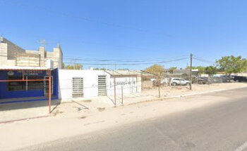 Veterinaria Cemediani Forjadores