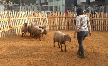 MVZ Cristian Mixcoatl Vazquez