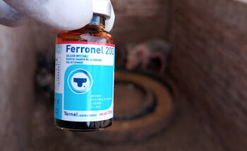 Farmacia Veterinaria Y Alimentos Pino Suarez