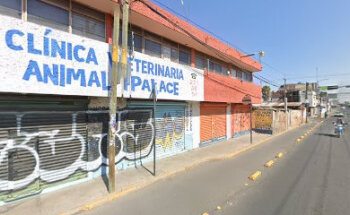 Clínica Veterinaria Animal Palace
