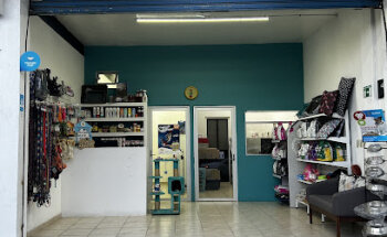 Veterinaria Vet Point Clínica y Estética