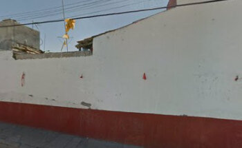 Veterinaria la aguja