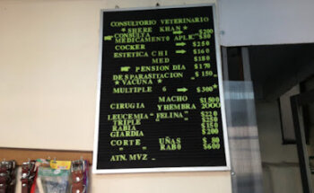 Veterinria Shere Khan