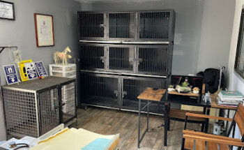 Clínica Veterinaria Marios