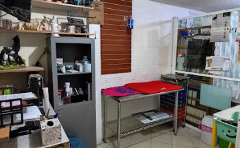 Intermedical Ramírez