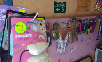 Veterinaria aaa... Perrillo