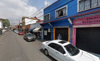 Vivet Centro Veterinario