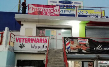 WAWITA accesorios para mascotas y mas